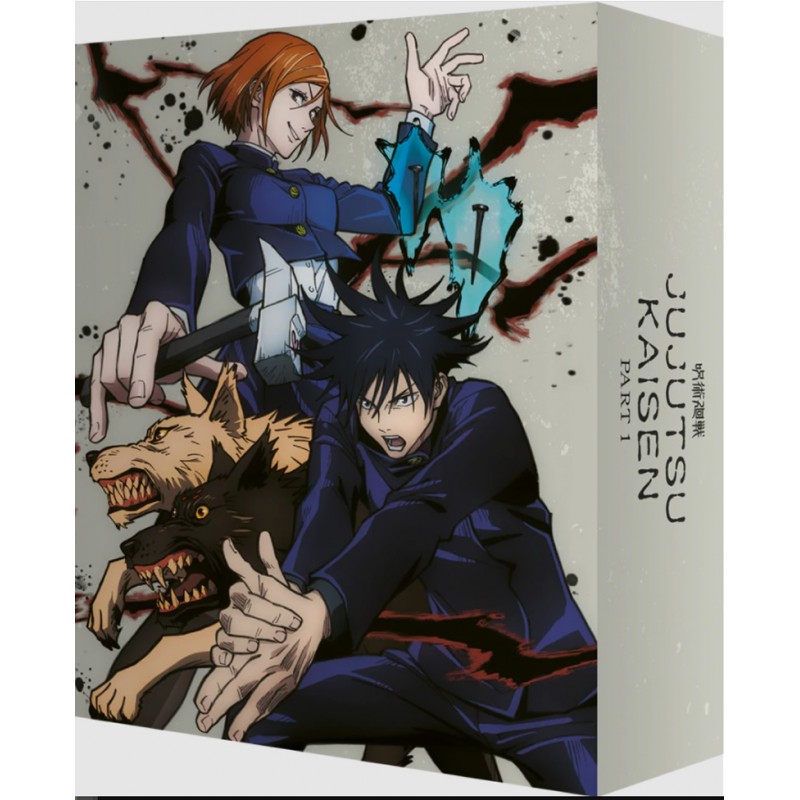 Jujutsu Kaisen Part 1 Collector S Edition 15 Blu Ray CD