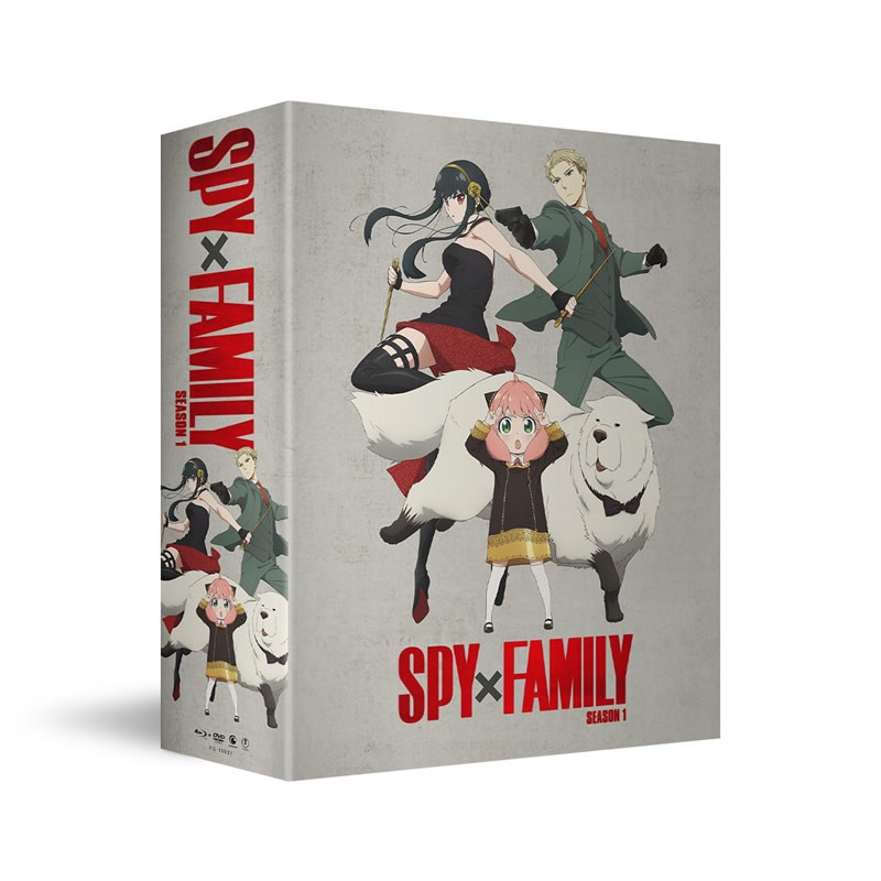 Spy x Family Part 1 (DVD) - Anime DVD with English Dubbed